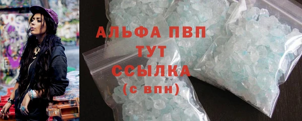 прущие грибы Богданович