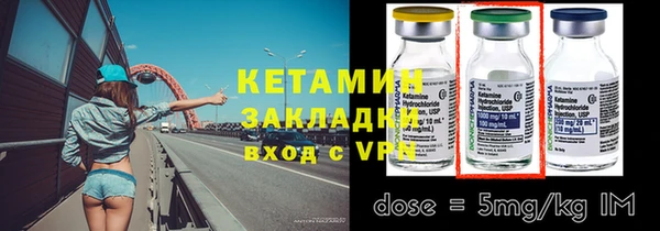 прущие грибы Богданович