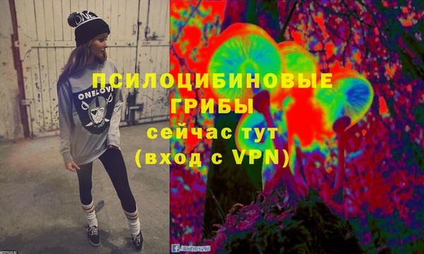 ПСИЛОЦИБИНОВЫЕ ГРИБЫ Новоуральск