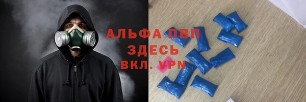 амф Новоузенск