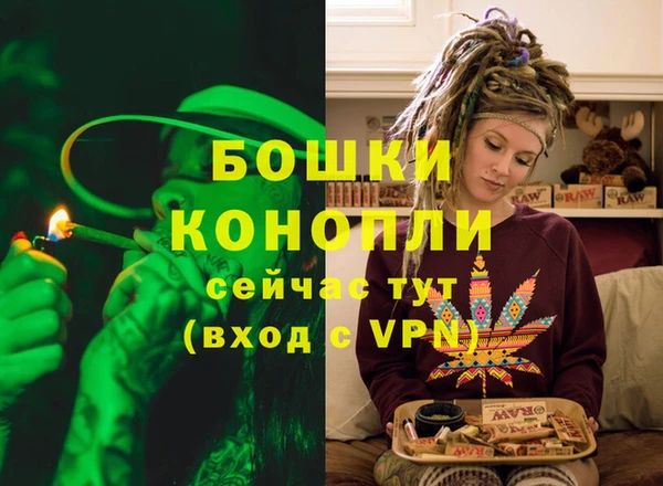 прущие грибы Богданович
