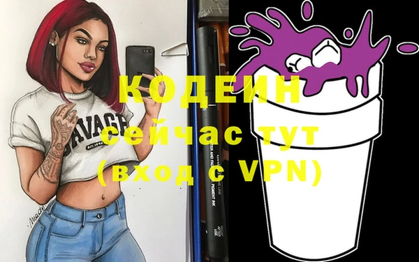 прущие грибы Богданович