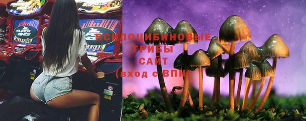 прущие грибы Богданович