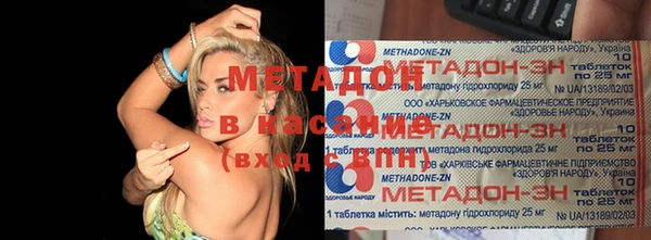 прущие грибы Богданович